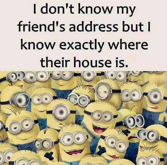 New Funny Minions Pictures 022