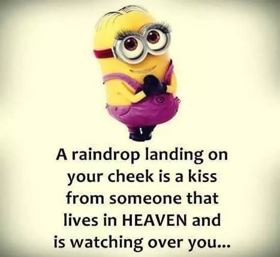 New Funny Minions Pictures 031