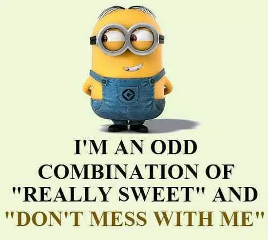 New Funny Minions Pictures 040