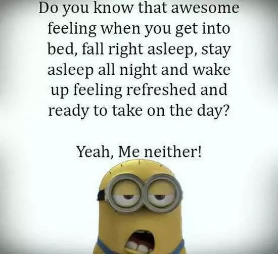 New Funny Minions Pictures 049