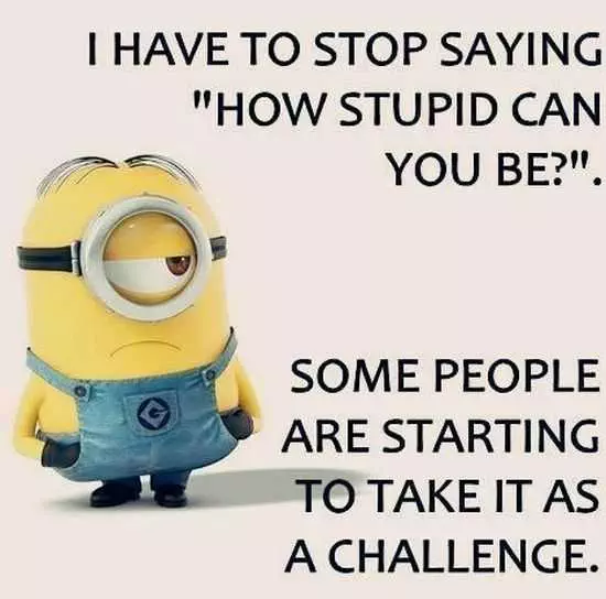 New Funny Minions Pictures 057