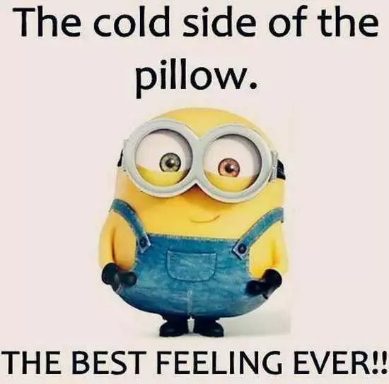 New Funny Minions Pictures 059