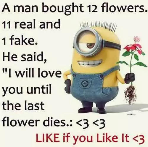 New Funny Minions Quotes 024