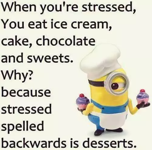 New Funny Minions Quotes 031