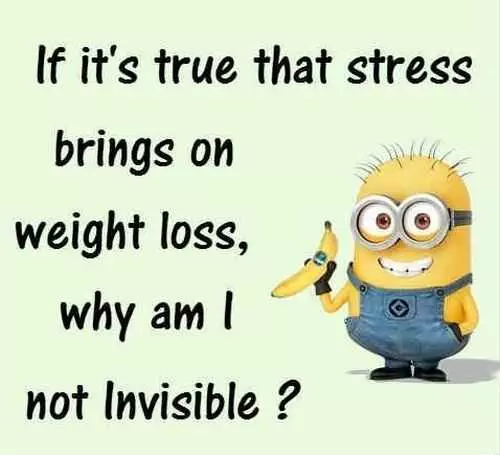 New Funny Minions Quotes 043