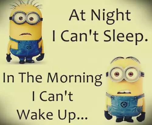 New Funny Minions Quotes 050