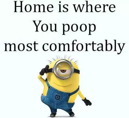 Funny Minions Quotes Of The Week 035
