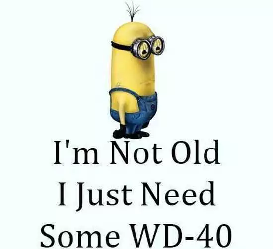 Funny Minions Quotes Of The Week 044