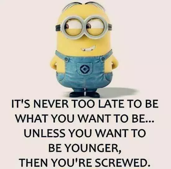 Funny New Minions Pictures 012