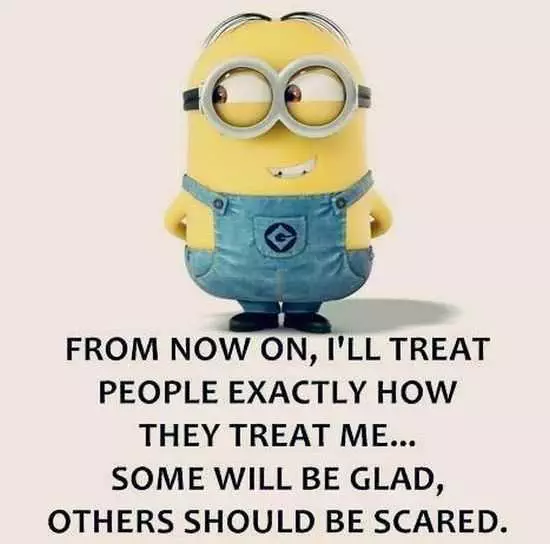 Funny New Minions Pictures 015