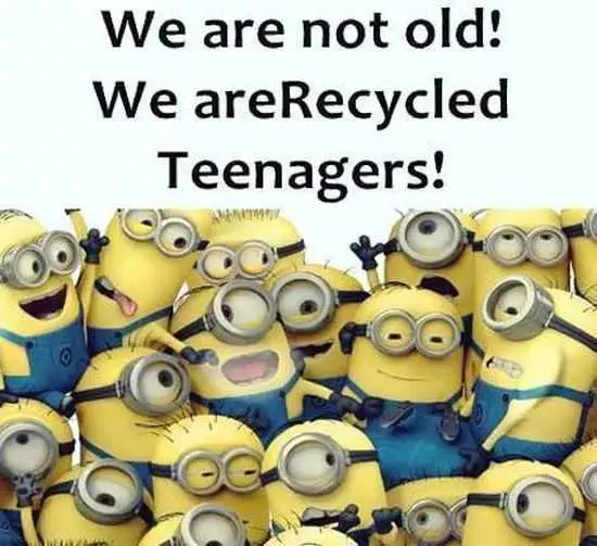 Funny New Minions Pictures 034