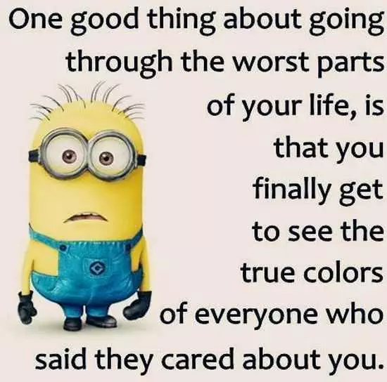 Funny New Minions Pictures 051