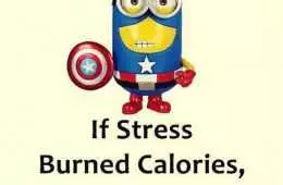 New Minion Pictures Of The Day 026