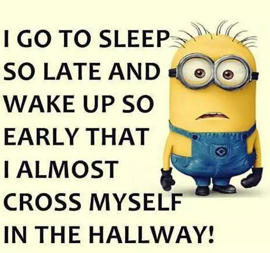 New Minion Pictures Of The Day 030