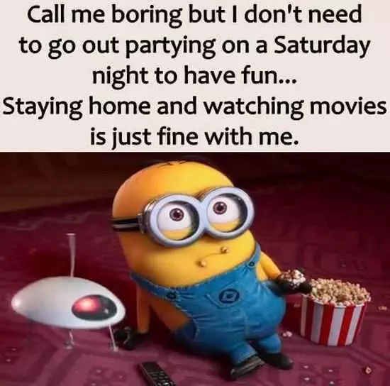 New Minion Pictures Of The Day 039