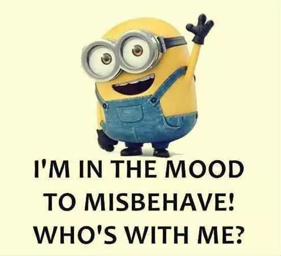 New Minion Pictures Of The Day 048