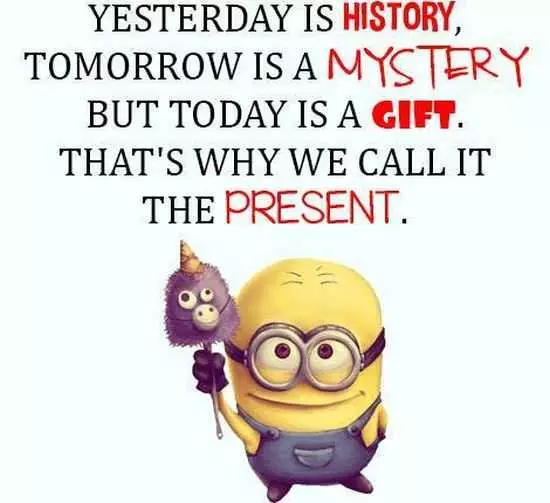New Minion Pictures Of The Day 058