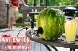 Watermelon Keg Featured