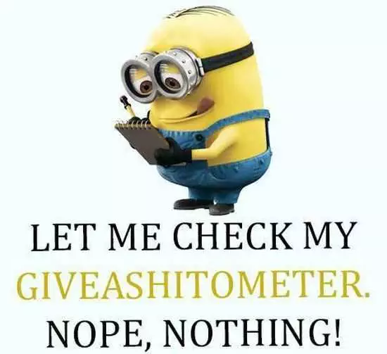 Funny Minions Pictures And Funny Minions Quotes 043