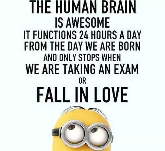 Funny Minions Pictures And Funny Minions Quotes 046