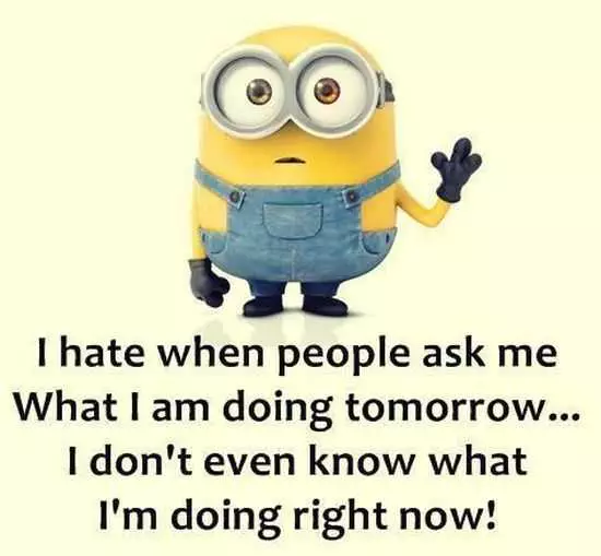 Funny Minions Pictures And Funny Minions Quotes 054