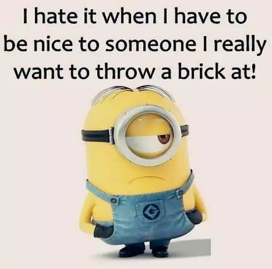 Funny Minions Pictures And Funny Minions Quotes 055