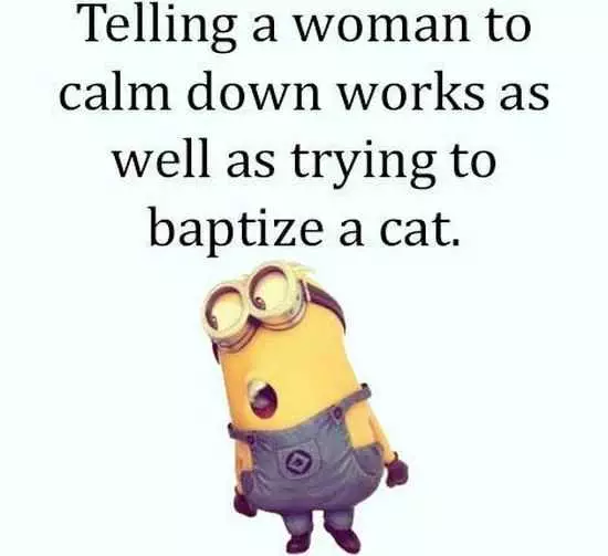 Funny Minions Pictures And Funny Minions Quotes 072 Big Funny Minions Pictures Post
