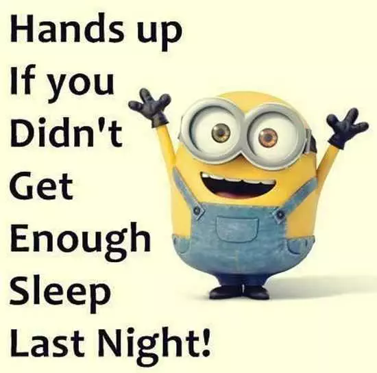 Funny Minions Pictures And Funny Minions Quotes 074