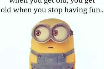 Funny Minions Pictures And Funny Minions Quotes 081