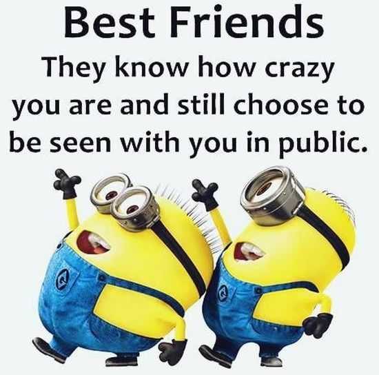 The Minions Quotes Funny 013