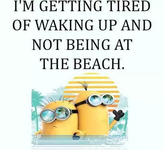The Minions Quotes Funny 022