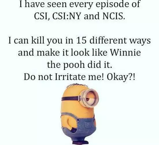 The Minions Quotes Funny 031