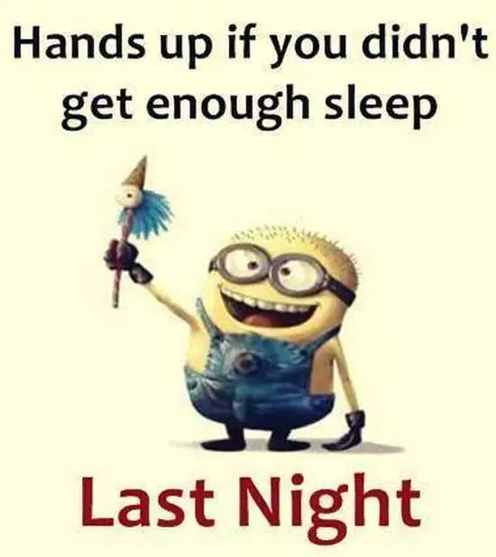 The Minions Quotes Funny 033