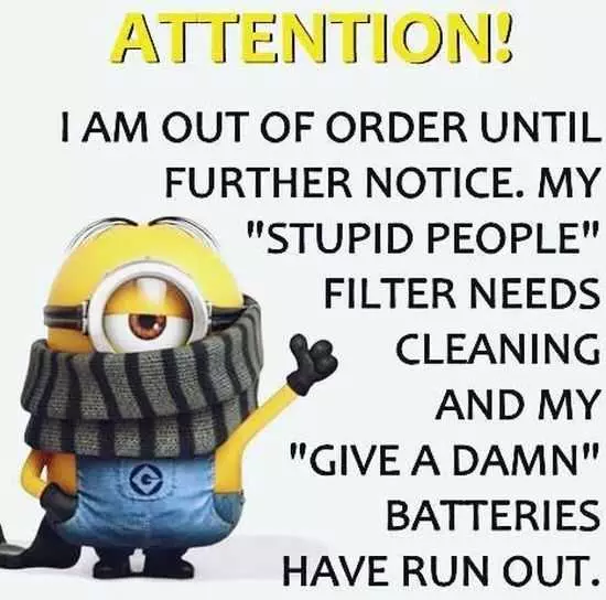The Minions Quotes Funny 034