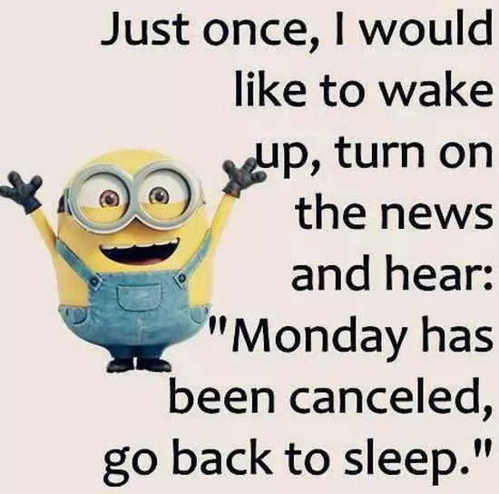 The Minions Quotes Funny 036