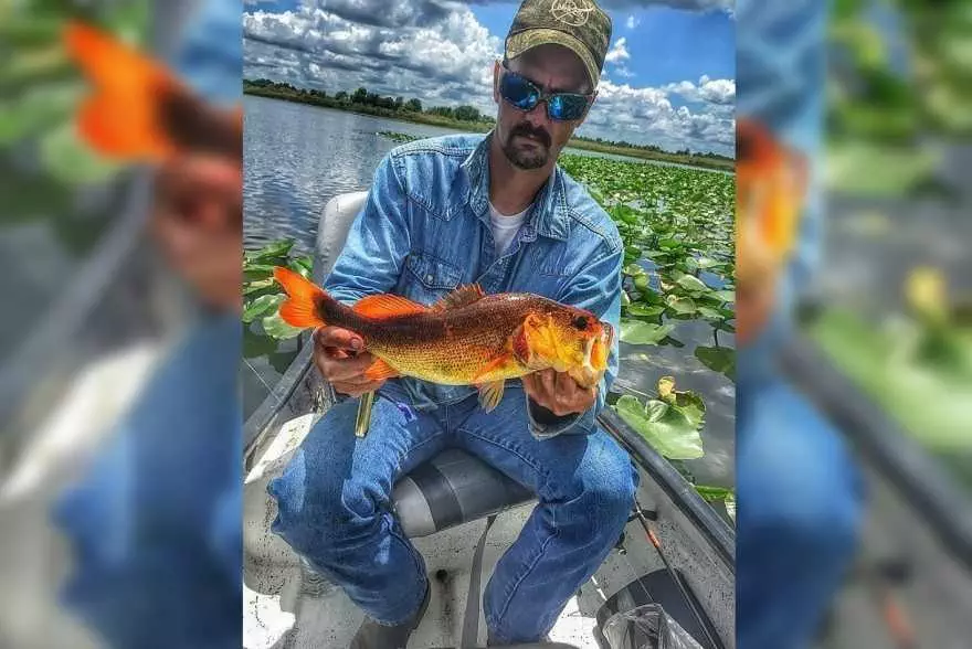 Super Rare Orange Largemouth Bass Caught In Florida