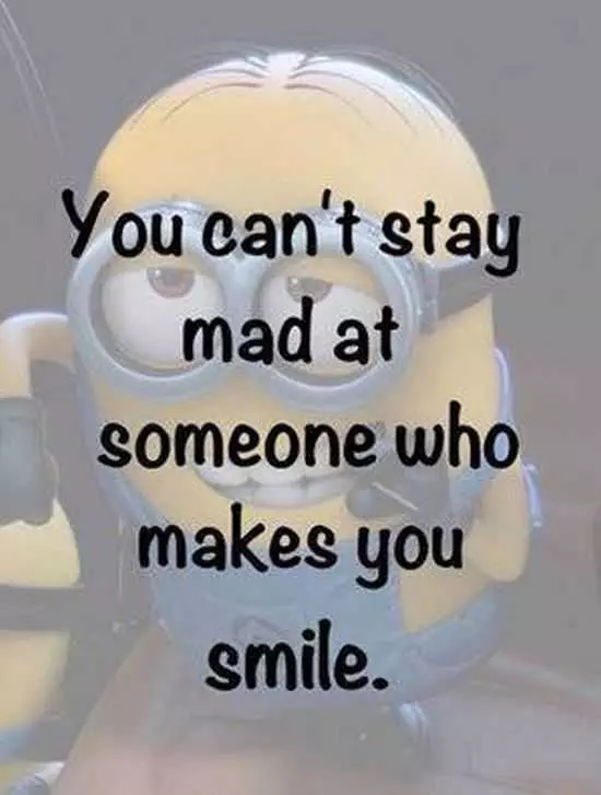 The Best Minion Pictures Of The Week 032