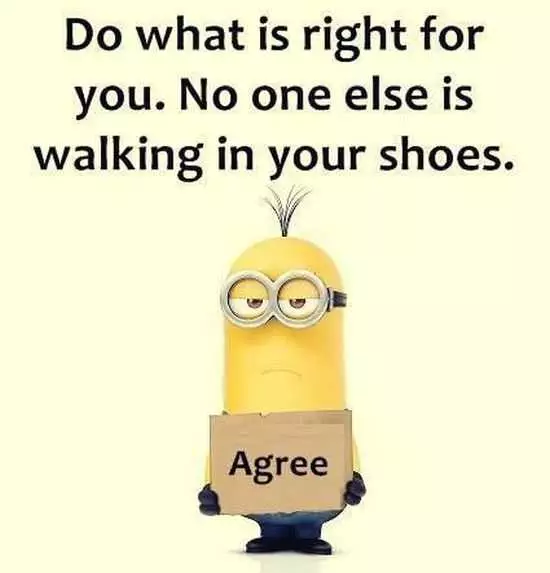 The Best Minion Pictures Of The Week 033