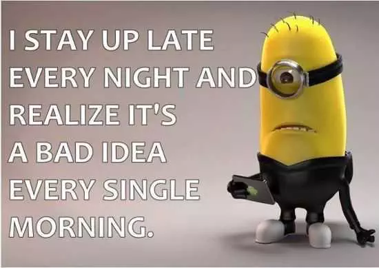 The Best Minion Pictures Of The Week 035