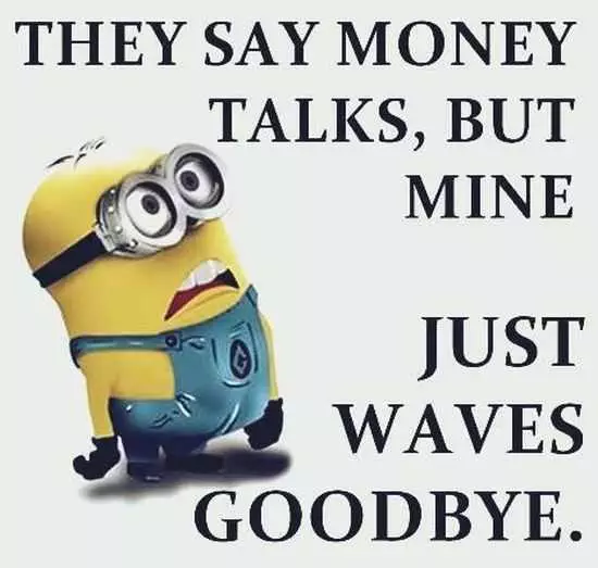 The Best Minion Pictures Of The Week 042