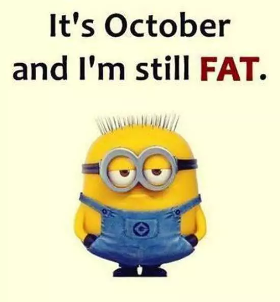 The Best Minion Pictures Of The Week 043