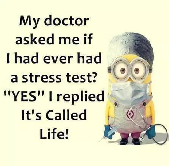 The Best Minion Pictures Of The Week 044