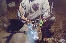 Wisconsin Hunter Bags A Rare Unicorn Buck Pictures