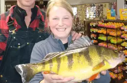 12 Year Old Catches World Record Perch Featured 2