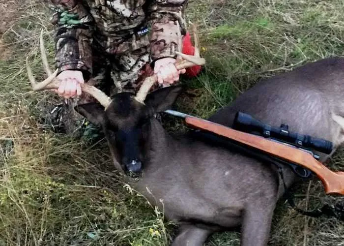 A Teen In Texas Harvests An Ultra Rare All Black Whitetail Buck Pictures Featured