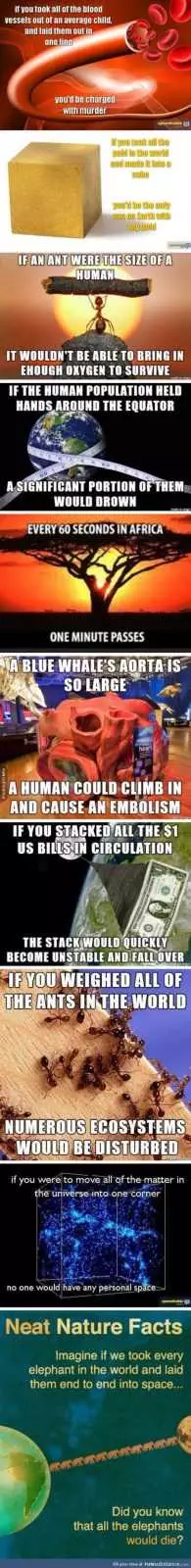 Funny Pics That Will Make You Lol 5032
