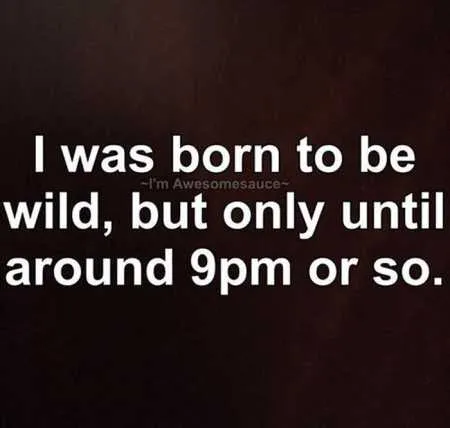 Hilarious Quotes 506