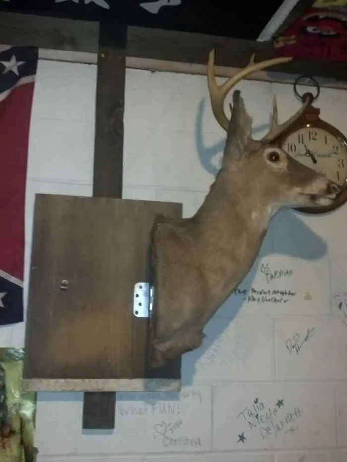 How Build A Hidden Compartment Into Your Deer Shoulder Mount Pictures 013