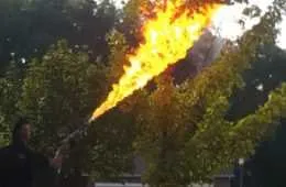 Man Uses A Flamethrower To Destroy A Huge Hornet'S Nest Featured
