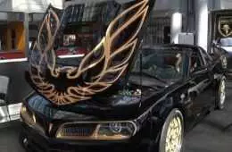 Meet The Bandit Edition Trans Am Featured